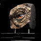 LAYAWAY DEPOSIT ONLY - Jurassic Park – Triceratops Eye Prop Reproduction | Elite Creature Collectibles