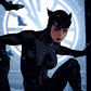 LAST CHANCE! Catwoman - Limited Edition Official DC Comics Fine Art Print