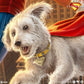 Superman: A Symbol of Hope - Limited Edition Official DC Comics Fine Art Print