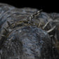 The Lord of the Rings - Official Weta Workshop Cave Troll Statue