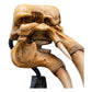 The Lord of the Rings - Skull of a Mumak Mini Statue | Weta Workshop