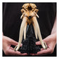 The Lord of the Rings - Skull of a Mumak Mini Statue | Weta Workshop
