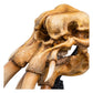 The Lord of the Rings - Skull of a Mumak Mini Statue | Weta Workshop
