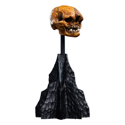 The Lord of the Rings - Official Weta Workshop Skull of a Misty Mountain Goblin