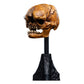 The Lord of the Rings - Official Weta Workshop Skull of a Misty Mountain Goblin