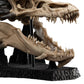 The Lord of the Rings - Skull of Smaug Mini Statue | Weta Workshop